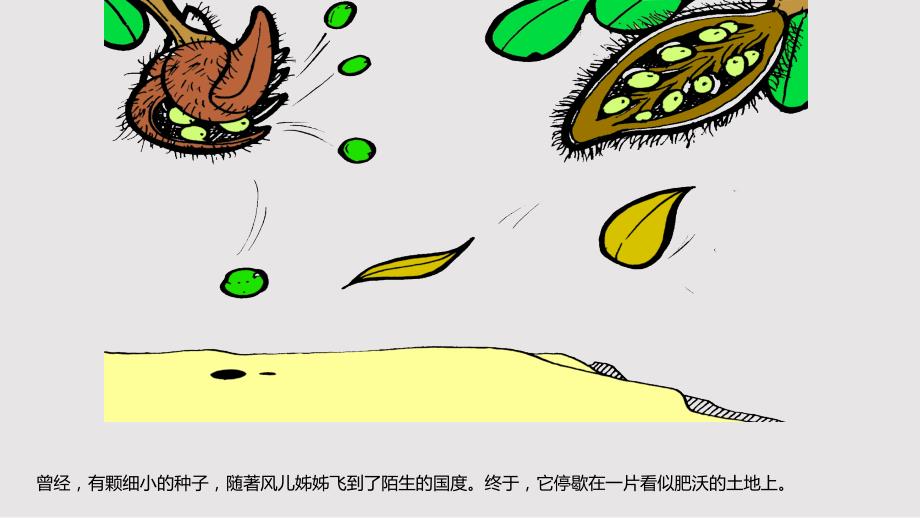 一粒种子的故事PPT课件.pptx_第2页