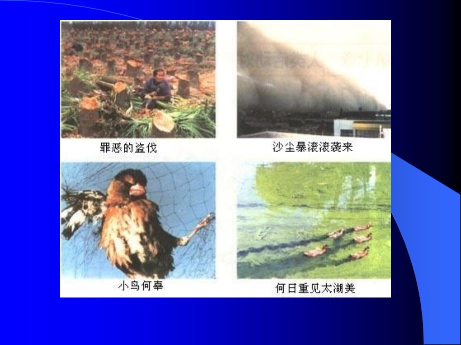 环境污染PPT课件.ppt_第2页