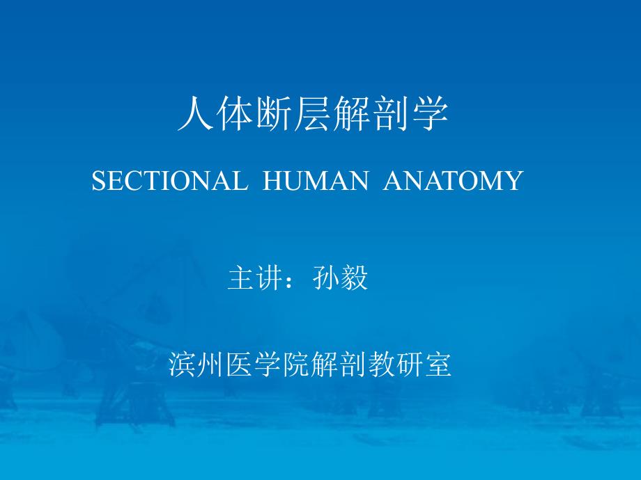 女性盆部断层解剖.ppt_第1页