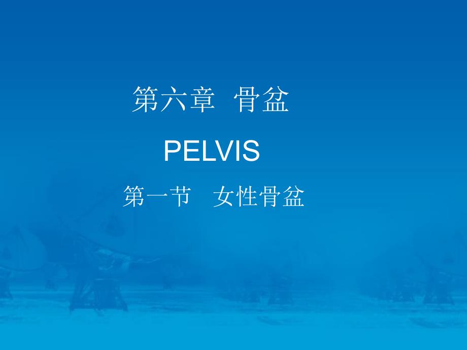女性盆部断层解剖.ppt_第2页