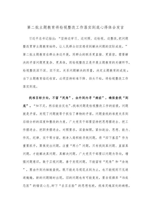 第二批主题教育将检视整改工作落实到底心得体会发言.docx