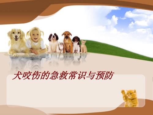 犬咬伤的急救常识与预防PPT课件.ppt