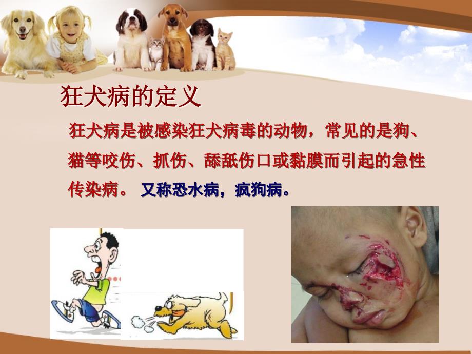 犬咬伤的急救常识与预防PPT课件.ppt_第3页