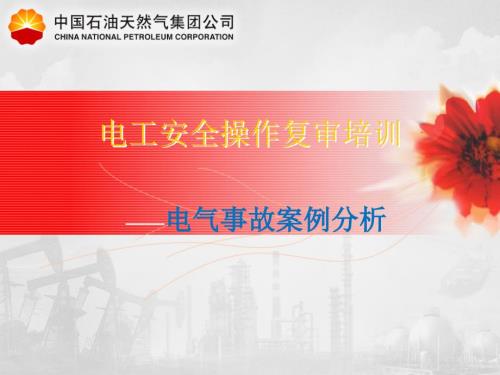 电工复审培训课件.ppt