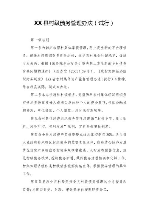 XX县村级债务管理办法.docx