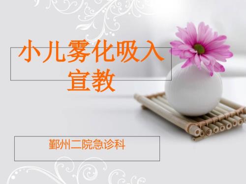 小儿雾化吸入宣教PPT课件.ppt