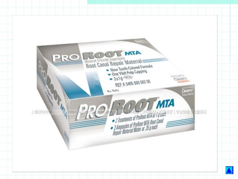 ProrootMTA的临床应用.ppt_第2页