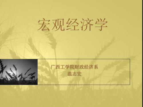 宏观经济学课件高教版.ppt