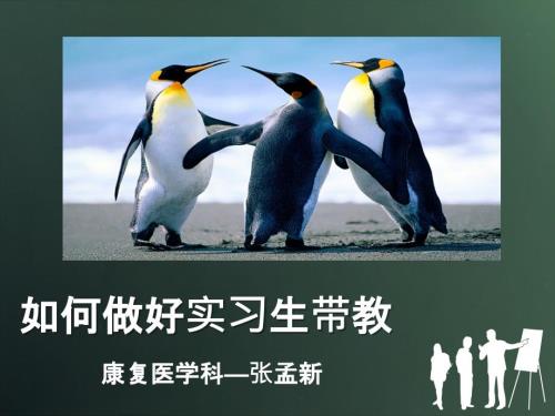 如何做好实习生带教ppt课件.pptx