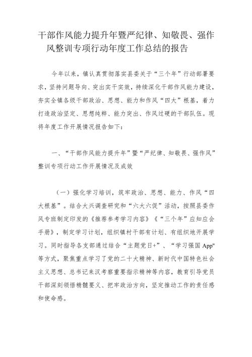 干部作风能力提升年暨严纪律、知敬畏、强作风整训专项行动工作总结的报告.docx