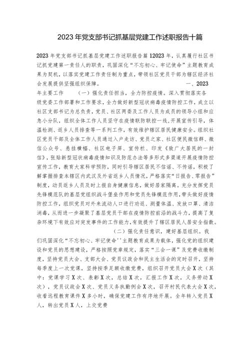 2023年党支部书记抓基层党建工作述职报告十篇.docx