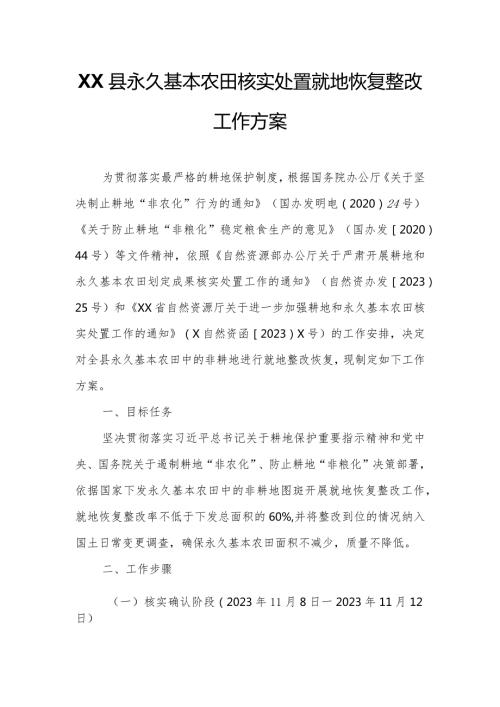 XX县永久基本农田核实处置就地恢复整改工作方案.docx