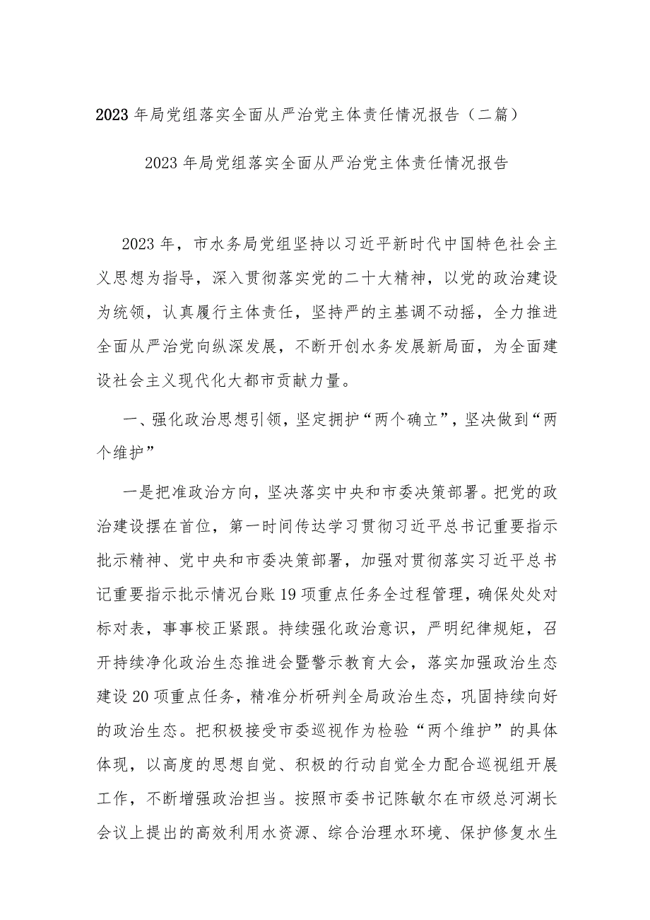 2023年局党组落实全面从严治党主体责任情况报告(二篇).docx_第1页