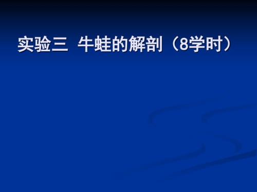 实验三牛蛙的解剖.ppt