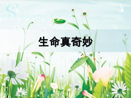 生命与健康常识PPT课件.ppt