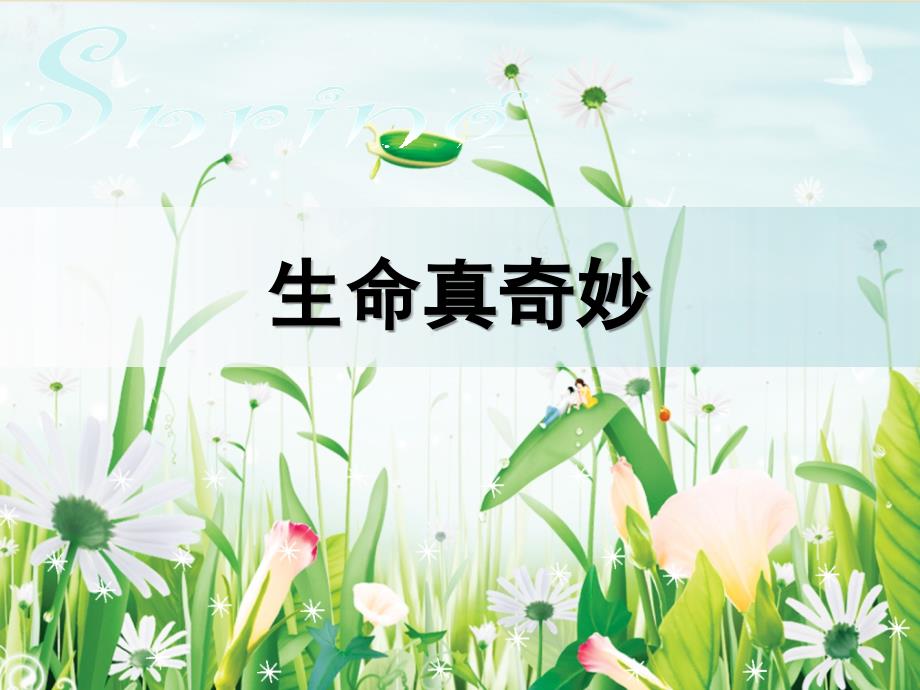 生命与健康常识PPT课件.ppt_第1页