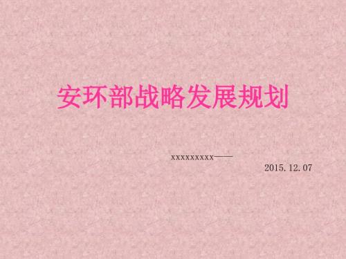 安环部战略发展规划.ppt