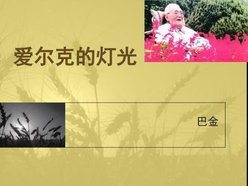 爱尔克的灯光PPT课件.ppt