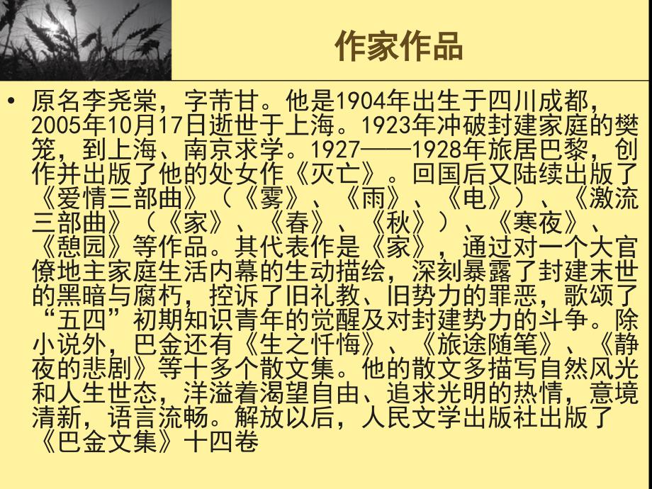 爱尔克的灯光PPT课件.ppt_第3页