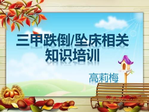 三甲跌倒知识培训.ppt
