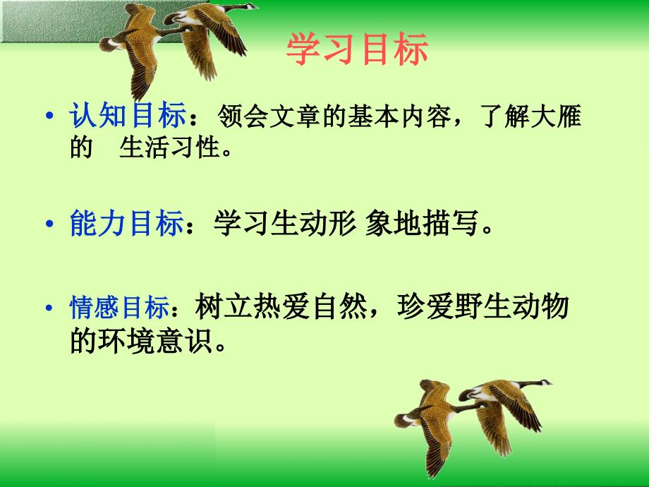 大雁归来优秀课件ppt.pptx_第2页