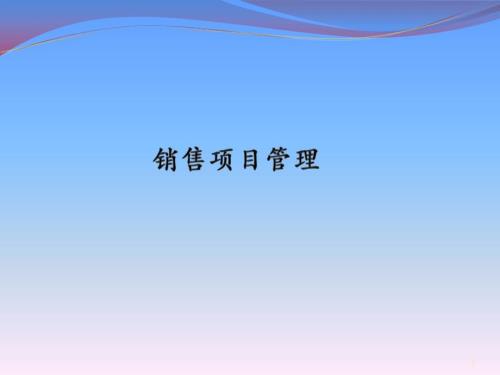 大项目销售技巧10大项目销售经验总结.ppt