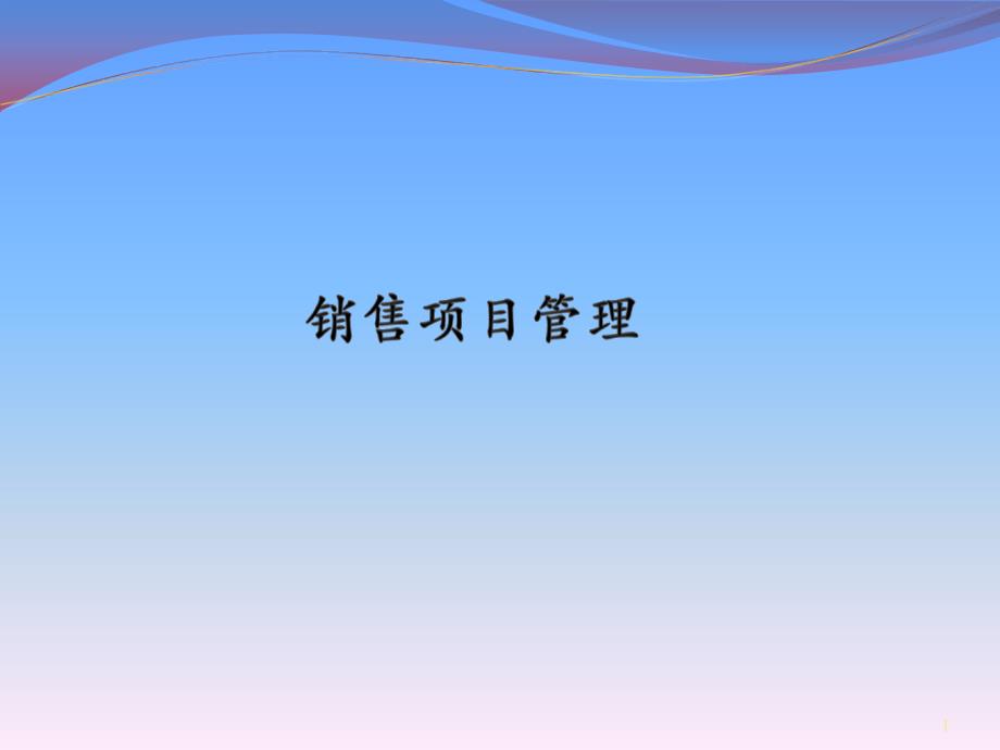 大项目销售技巧10大项目销售经验总结.ppt_第1页