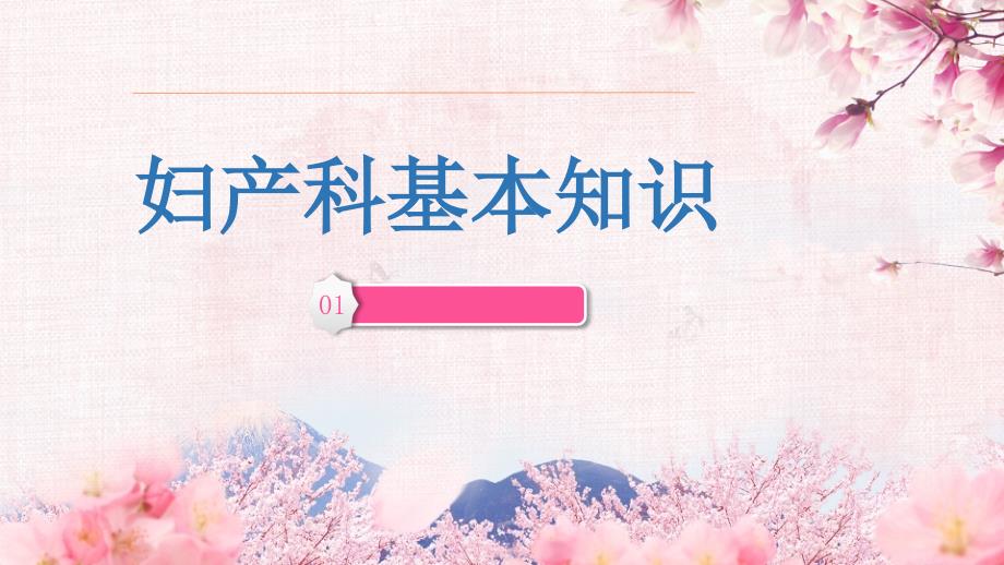 妇产科基础知识ppt课件.ppt_第1页