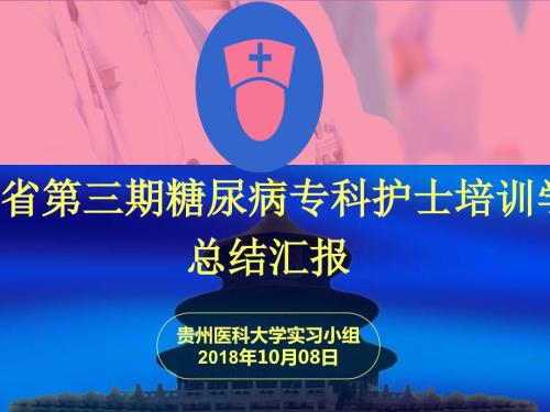 糖尿病专科护士培训总结汇报.ppt