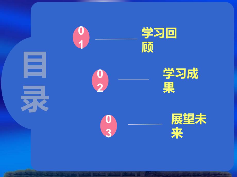 糖尿病专科护士培训总结汇报.ppt_第3页
