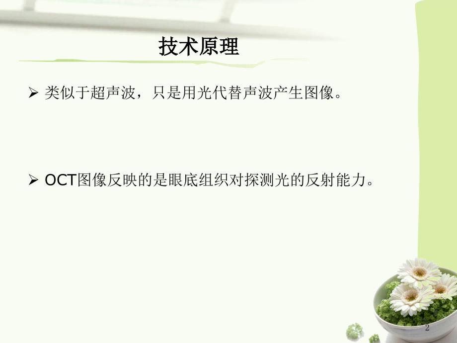OCT基础知识.ppt_第2页