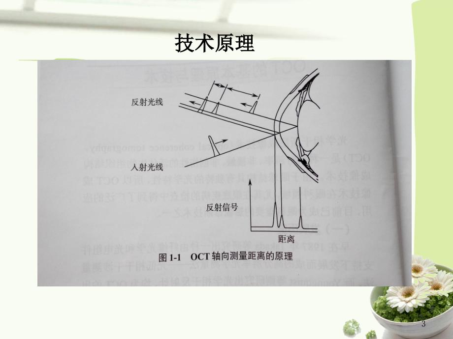 OCT基础知识.ppt_第3页