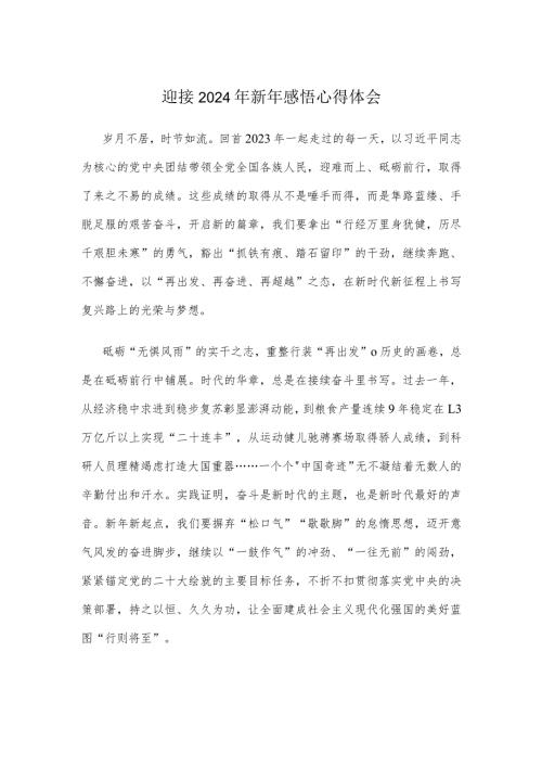 迎接2024年新年感悟心得体会.docx
