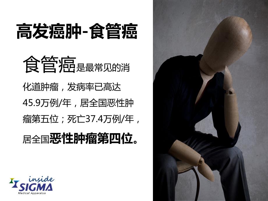 Sigma仿生食管支架.ppt_第2页