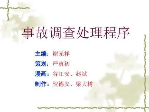 生产安全事故调查处理程序.ppt