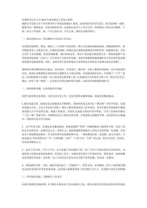 党委副书记在公司2023年底务虚会上的发言材料(1).docx