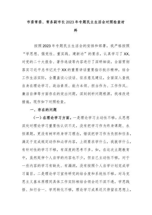 市委常委、常务副市长2023年专题民主生活会对照检查材料 (2).docx