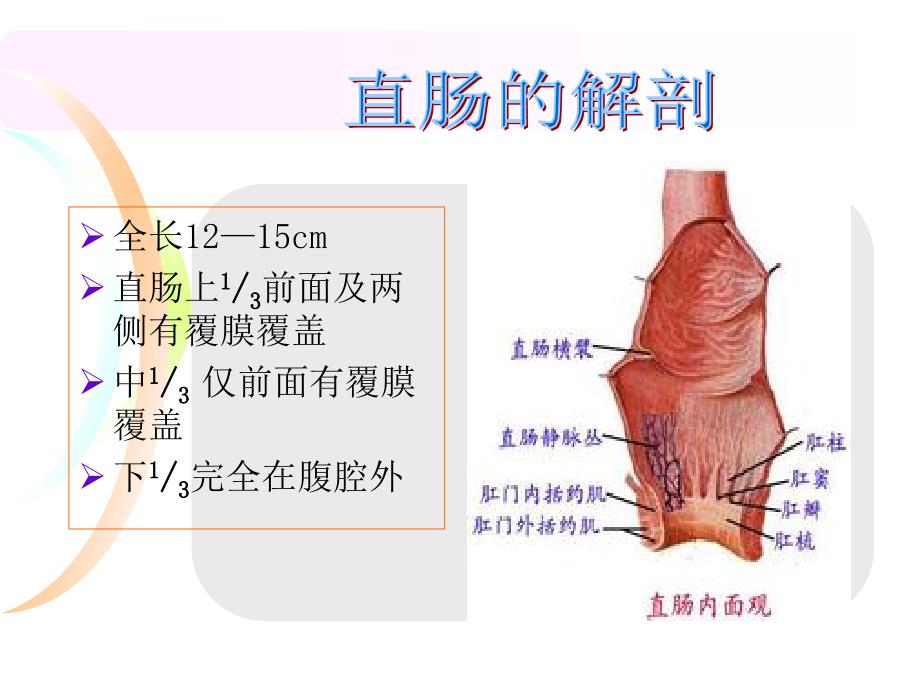 直肠癌手术解剖配合步骤方法要点PPT课件.ppt_第2页