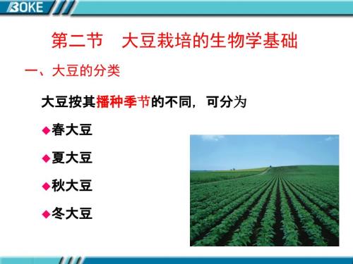大豆栽培的生物学基础.ppt