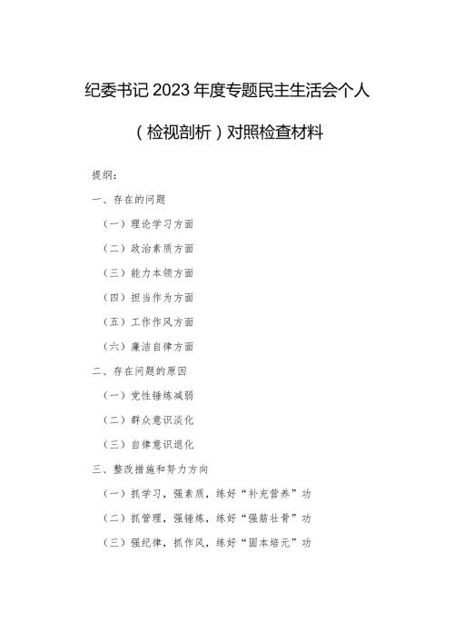 纪委书记2023专题民主生活会个人（检视剖析）对照检查材料.docx
