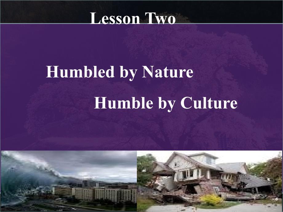 研究生英语阅读教程提高级第三版教学课件Lesson2.ppt_第3页