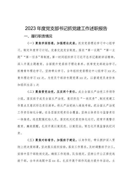 党支部书记2023抓党建工作述职报告.docx