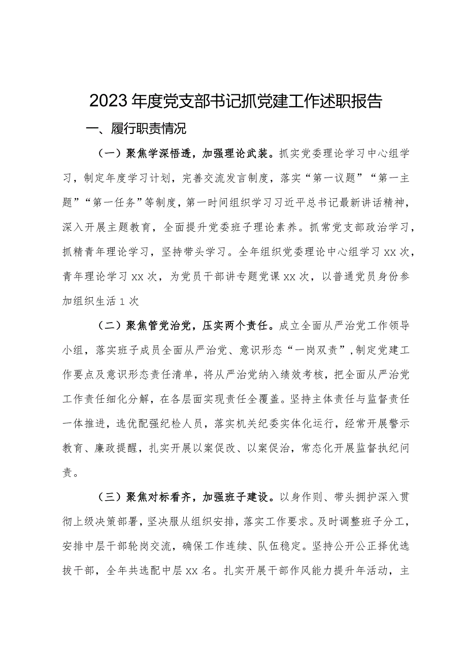 党支部书记2023抓党建工作述职报告.docx_第1页