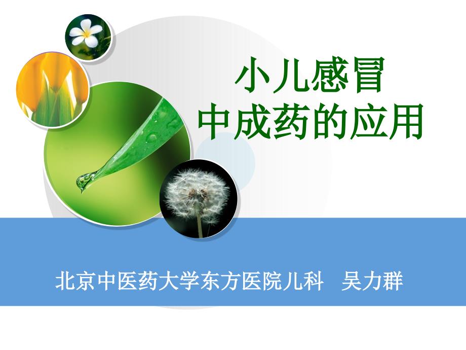 小儿感冒中成药的应用.ppt_第1页