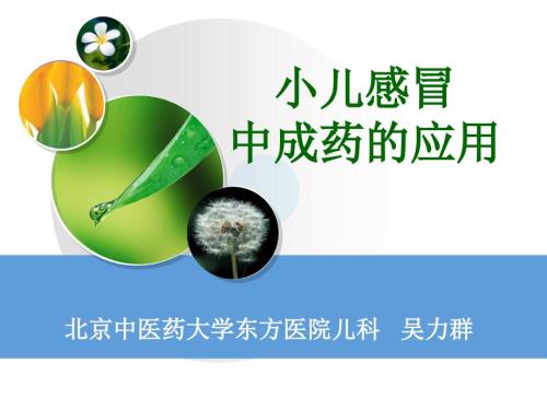小儿感冒中成药的应用.ppt