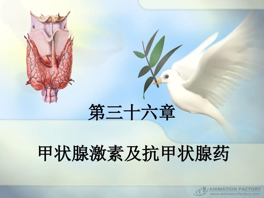 甲状腺药物PPT课件.ppt_第1页