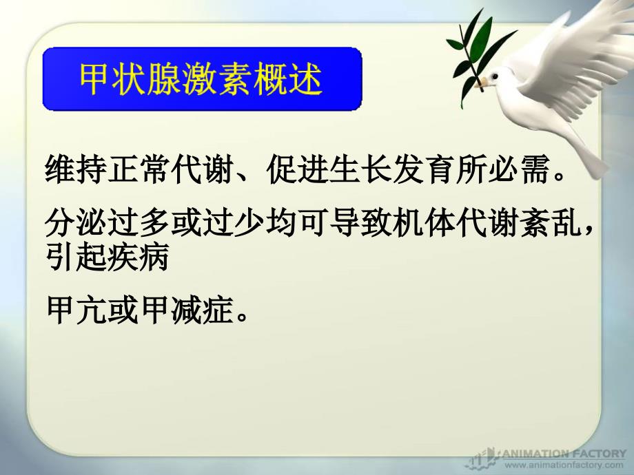 甲状腺药物PPT课件.ppt_第2页