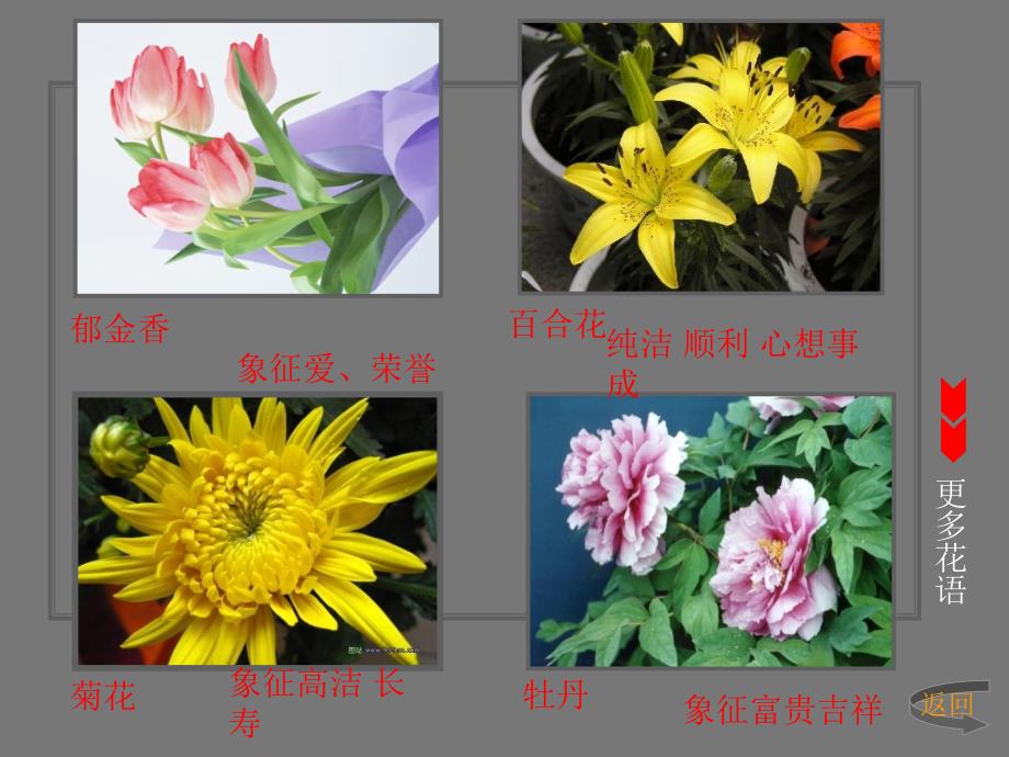 生活中的艺术PPT课件.ppt_第3页