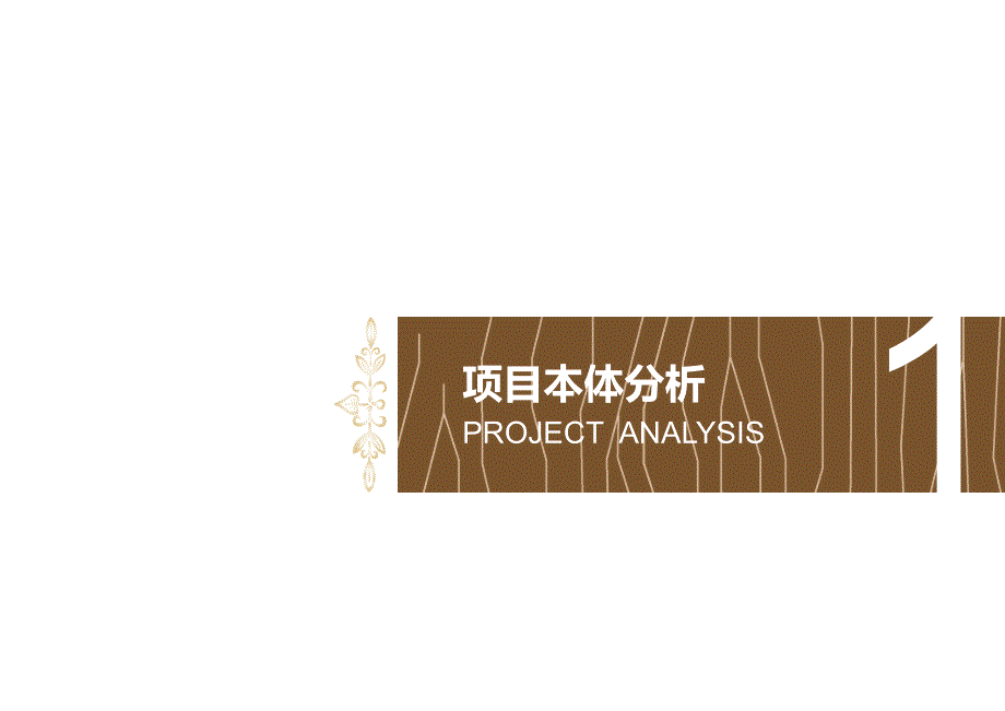 国际养老社区概念性规划设计方案文本.ppt_第3页