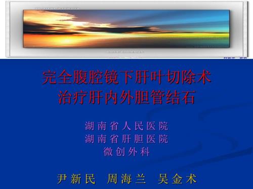腹腔镜肝叶切除PPT课件.ppt